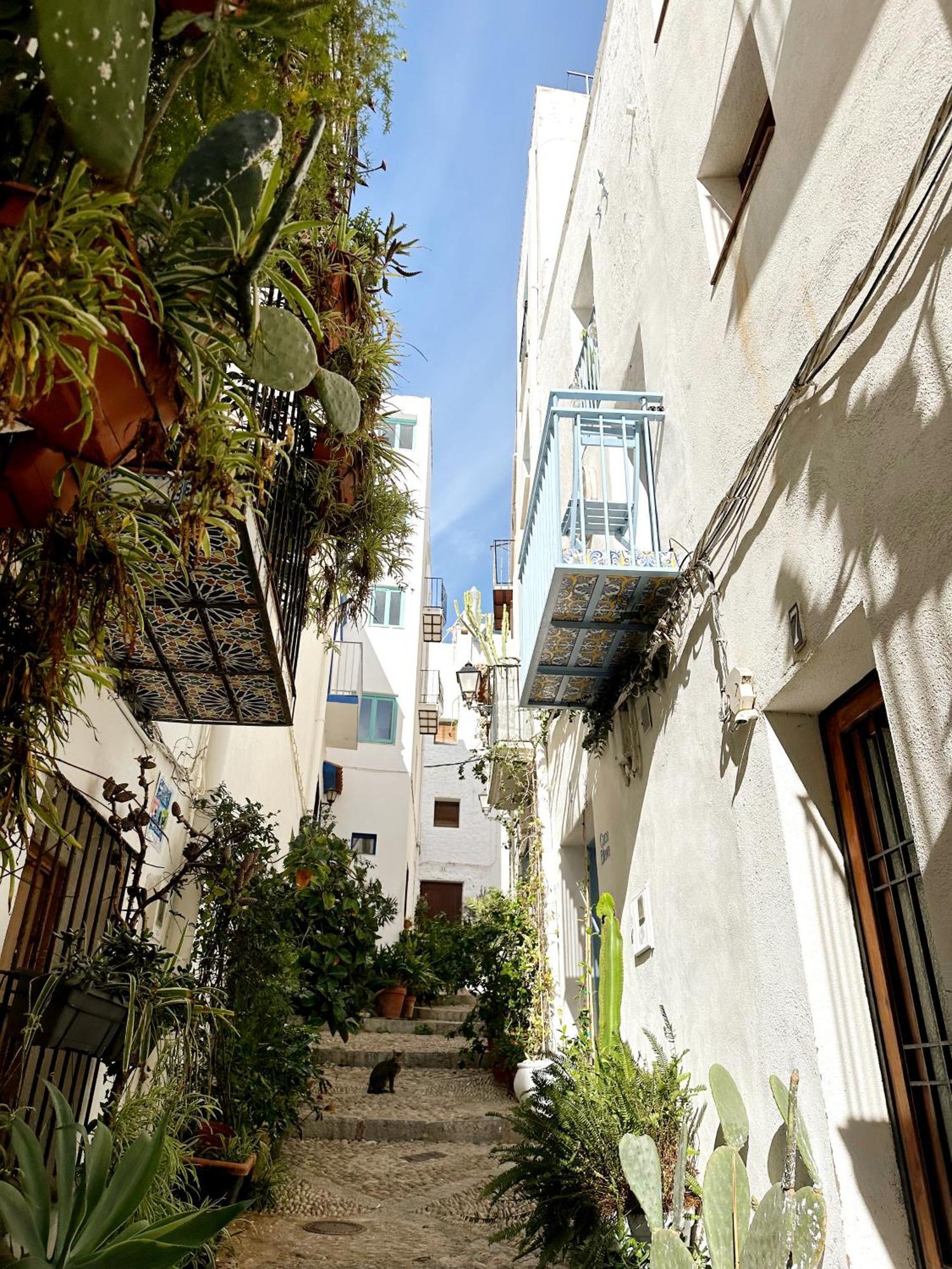 Villa Casa Blava, Casco Antiguo De Peñíscola Exterior foto